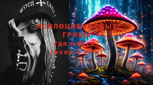 mdma Пестово