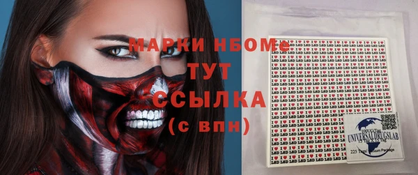 мдпв Пересвет