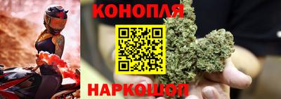 гидропоника Коломна