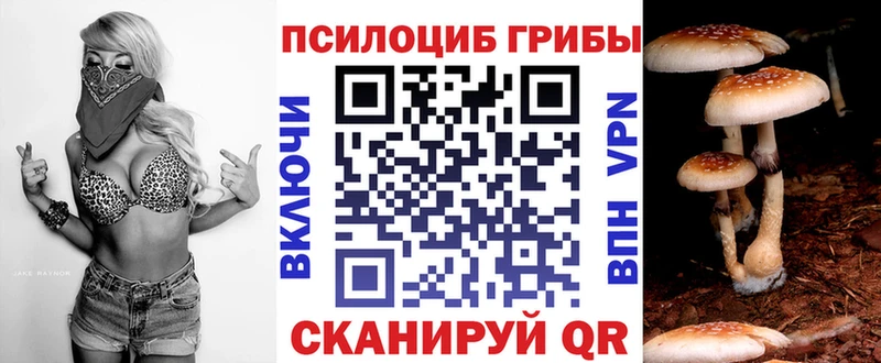 Псилоцибиновые грибы MAGIC MUSHROOMS  где купить наркотик  Юрга 