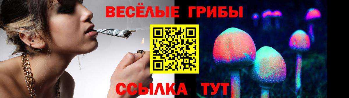 Галлюциногенные грибы Psilocybine cubensis  Вход с VPN  Юрга  закладка  Галлюциногенные грибы Psilocybine cubensis 